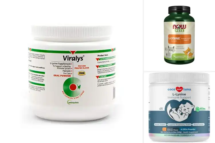 Detailed view of Best L Lysine Powder For Cats