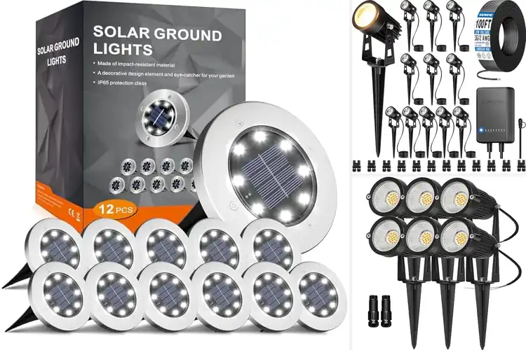 Detailed view of Best Landscape Lighting