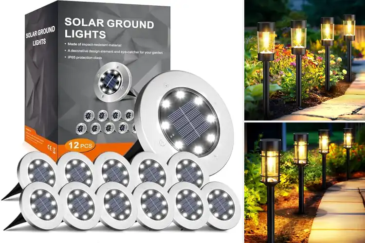 Detailed view of Best Landscape Solar Lights