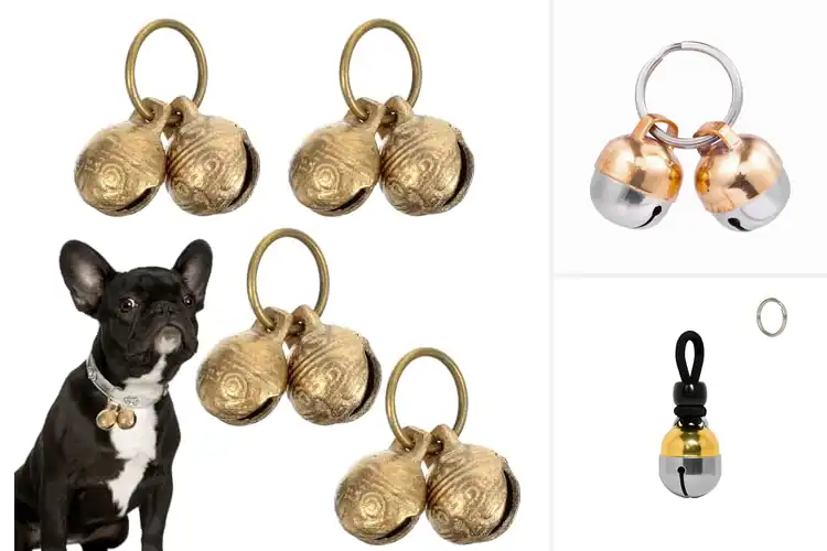 Detailed view of Best Loud Cat Bells: Top 10 Picks for Easy Tracking & Style