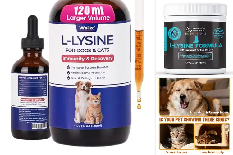 Detailed view of Best Lysine For Cats And Dogs: Top 10 Picks for Pet Health
