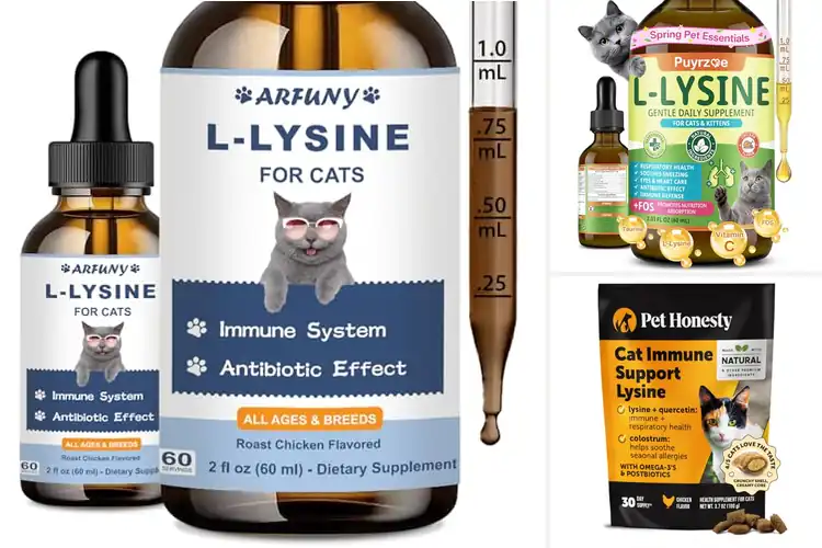 Detailed view of Best Lysine For Congestion Relief In Cats