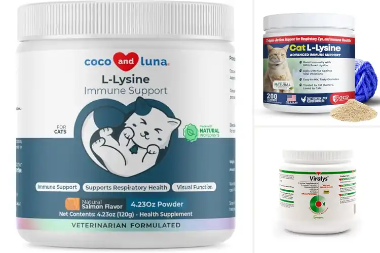 Detailed view of Best Lysine Powder For Eye And Respiratory Health