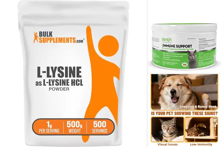 Detailed view of Best Lysine Powder For Immune Support