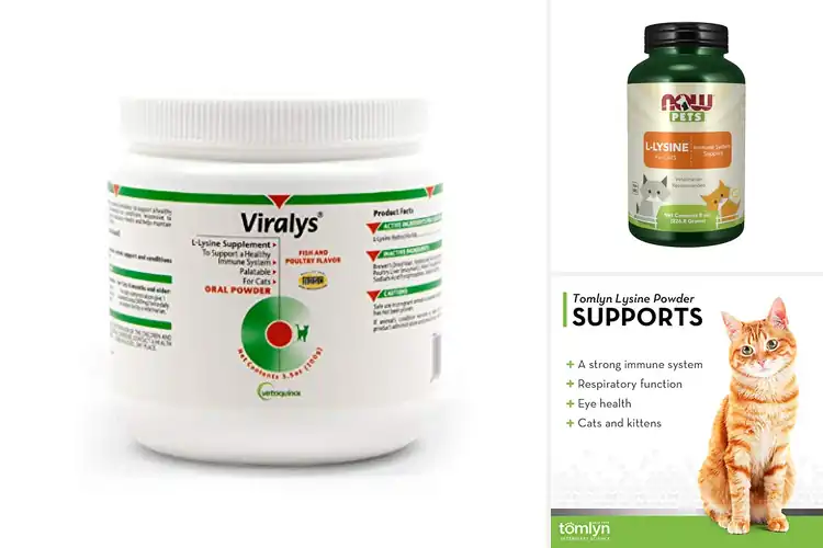 Detailed view of Best Lysine Powders for Cats: Top 10 Picks
