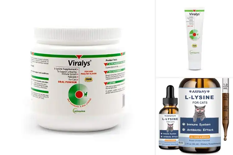 Detailed view of Best Lysine Supplement For Kittens