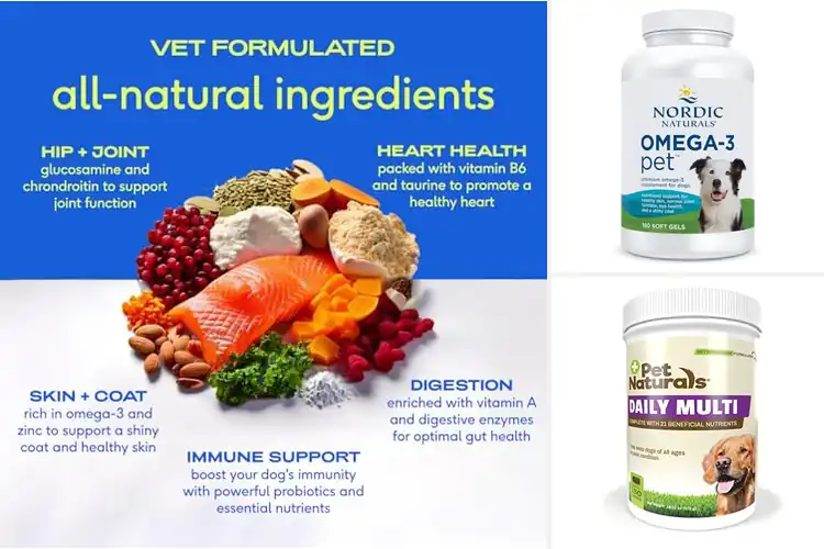 Detailed view of Best Natural Pet Supplements for a Healthier, Happier Pet