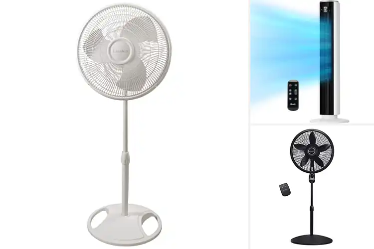 Detailed view of Best Oscillating Fans