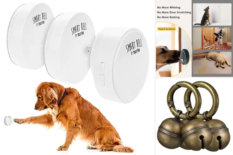 Detailed view of Best Outdoor Pet Bells: Top 10 to Keep Your Pet Safe & Seen