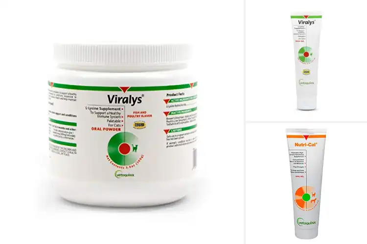 Detailed view of Best Palatable Supplements for Cats