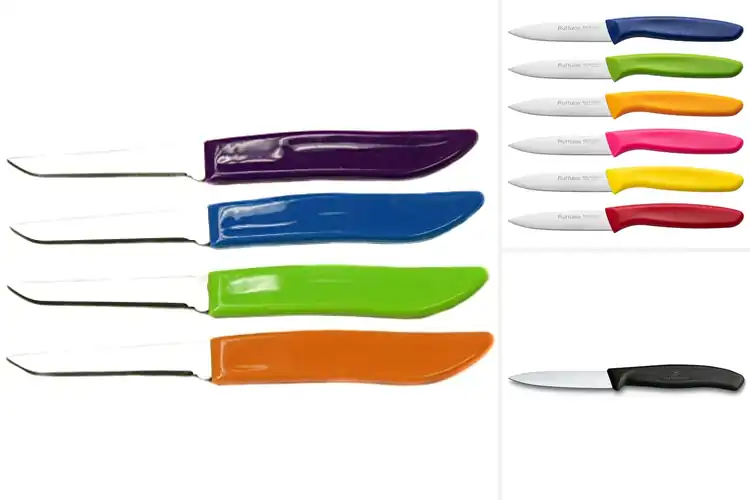 Detailed view of Best Paring Knives For Seafood
