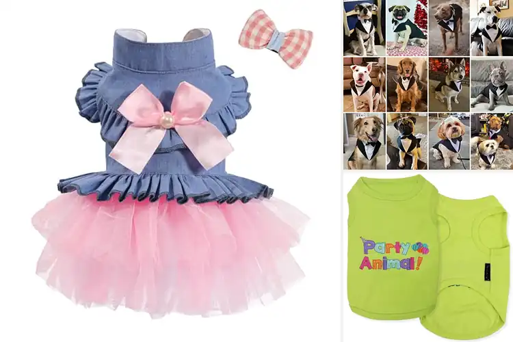 Detailed view of Best Party Dog Apparel