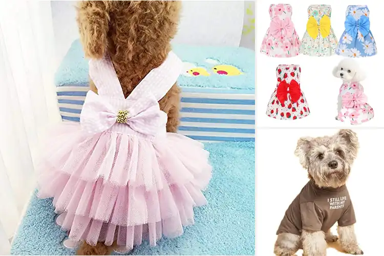 Detailed view of Best Party Dog Clothes