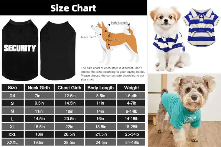 Detailed view of Best Party Dog Shirt: Top Picks for Stylish Pups Everywhere