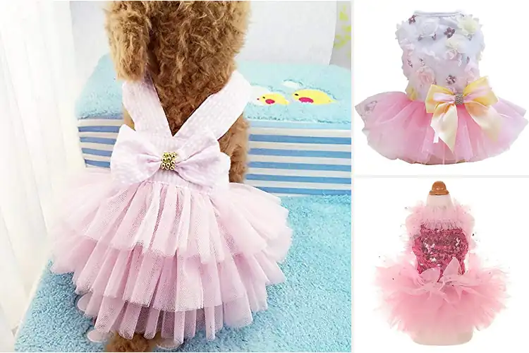 Detailed view of Best Party Dress For Dogs