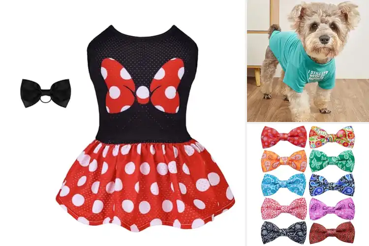 Detailed view of Best Party Ready Dog Clothes For Holidays