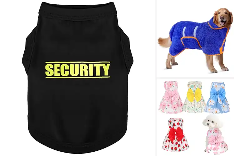 Detailed view of Best Pet Clothes