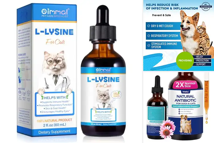 Detailed view of Best Pet Cold Relief: Natural Remedies for a Healthy Winter