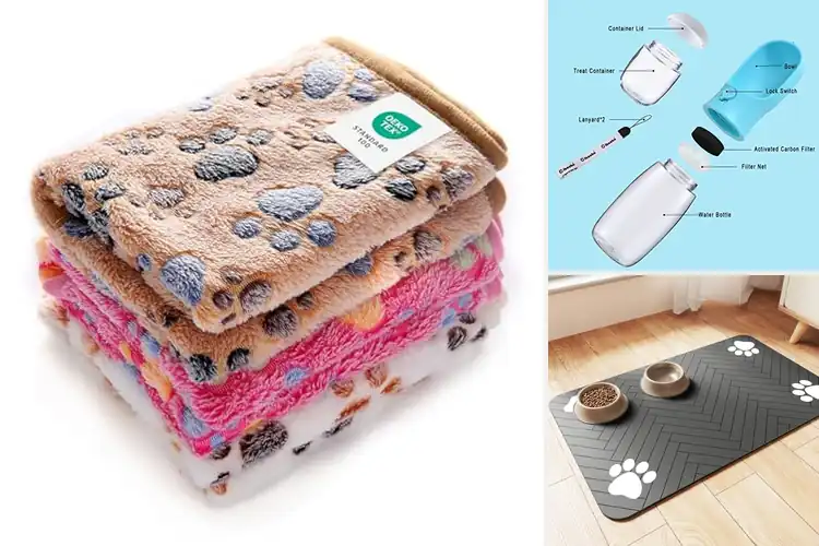 Detailed view of Best Pet Gifts: Practical & Playful Picks for Pampered Pets