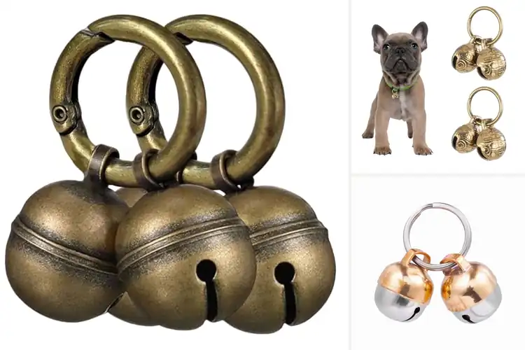 Detailed view of Best Pet Tracking Bells: Top 10 Picks for Your Pet’s Safety