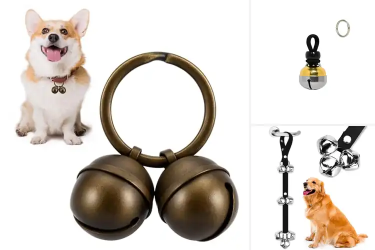 Detailed view of Best Pet Tracking Potty Training Bell