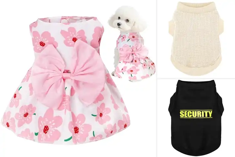 Detailed view of Best Puppy Clothes