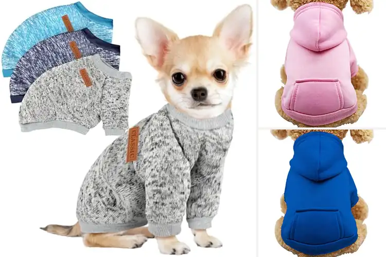 Detailed view of Best Puppy Sweatshirts