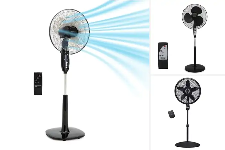 Detailed view of Best Remote Controlled Fans
