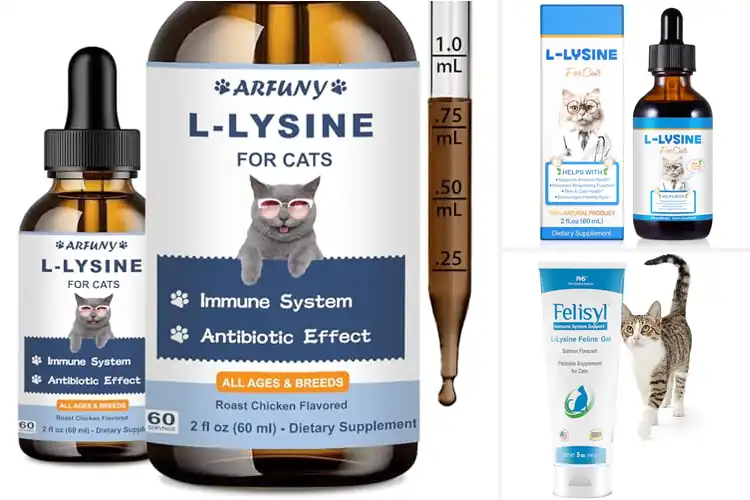 Detailed view of Best Respiratory Health Lysine For Cats
