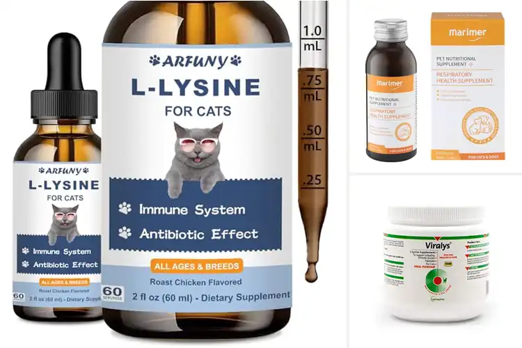 Detailed view of Best Respiratory Health Supplements for Cats
