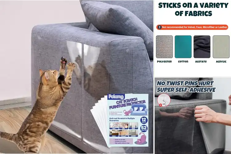 Detailed view of Best Scratch Protectors