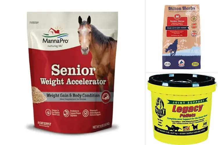 Detailed view of Best Senior Horse Supplements