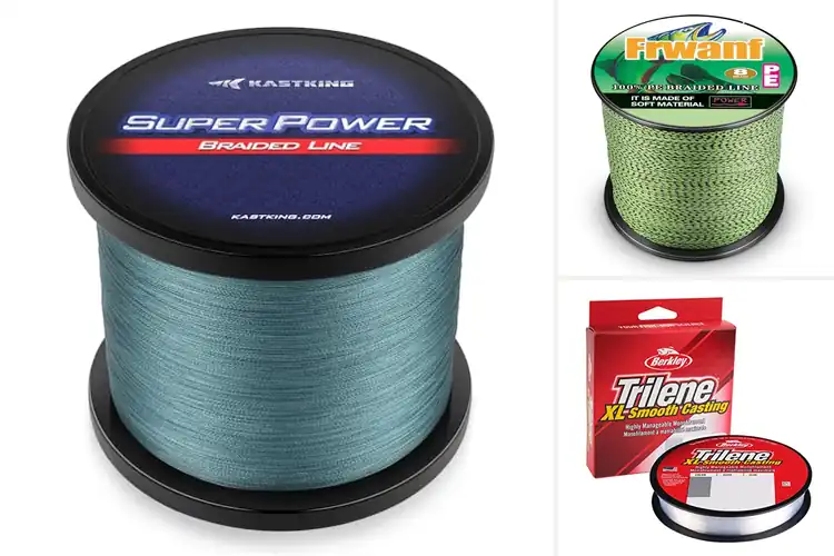 Detailed view of Best Sensitive Fishing Lines