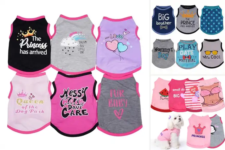 Detailed view of Best Six Pack Dog Shirts Bundle