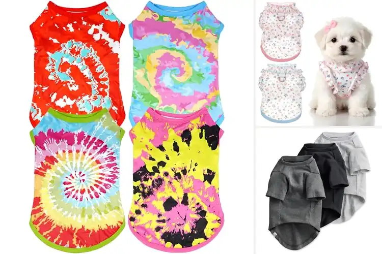 Detailed view of Best Size Small Dog Tees