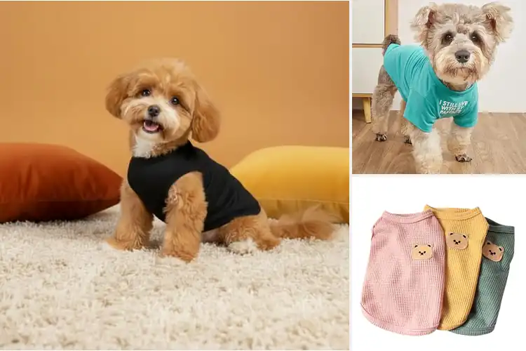 Detailed view of Best Small Dog Bust Fit Shirt: 10 Comfy & Stylish Picks