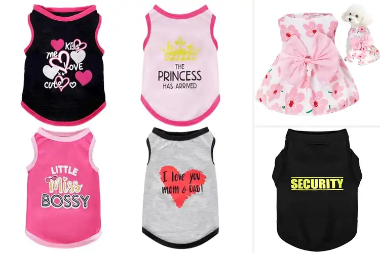 Detailed view of Best Small Dog Clothes