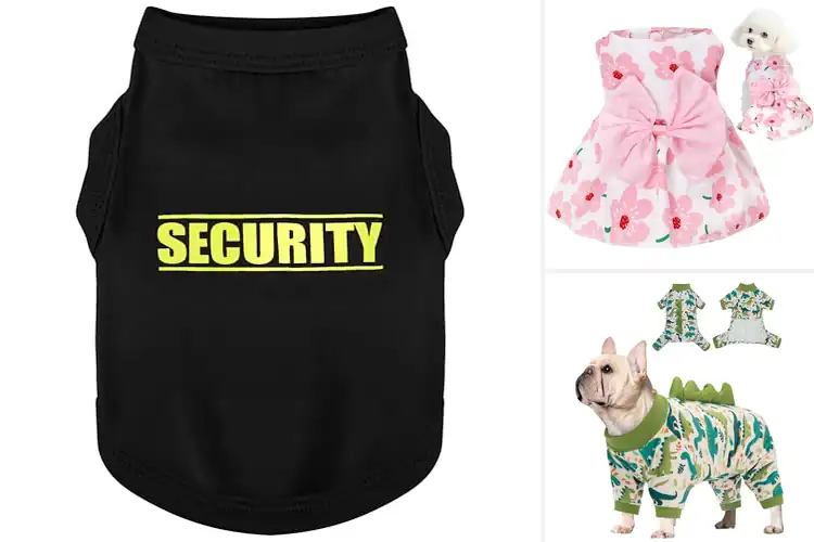 Detailed view of Best Small Dog Outfits