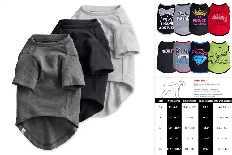 Detailed view of Best Small Dog Shirts: 10 Cozy & Stylish Picks for Your Pup