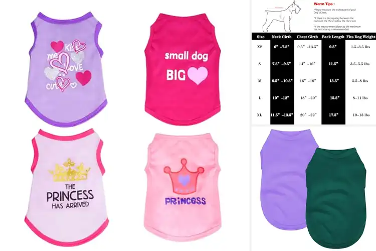 Detailed view of Best Small Dog T Shirt Size S: 10 Stylish & Comfy Picks