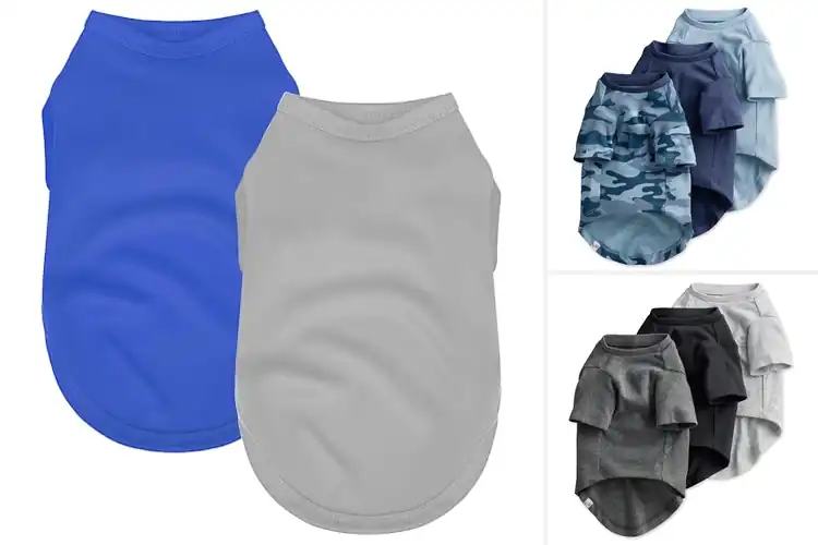Detailed view of Best Small Dog T-Shirts: Stylish Comfort for Tiny Pups