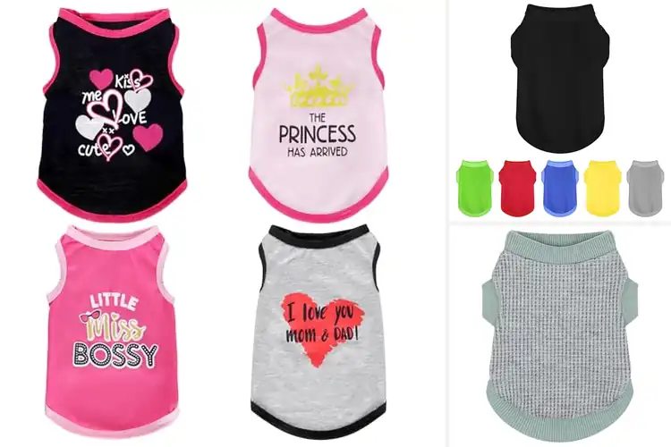 Detailed view of Best Small To Medium Dog Shirt: Stylish & Cozy Pup Fashion