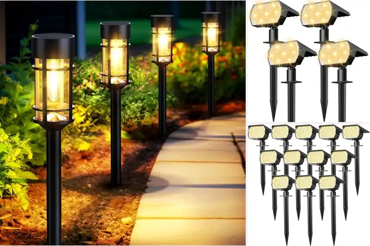Detailed view of Best Solar Landscape Lights
