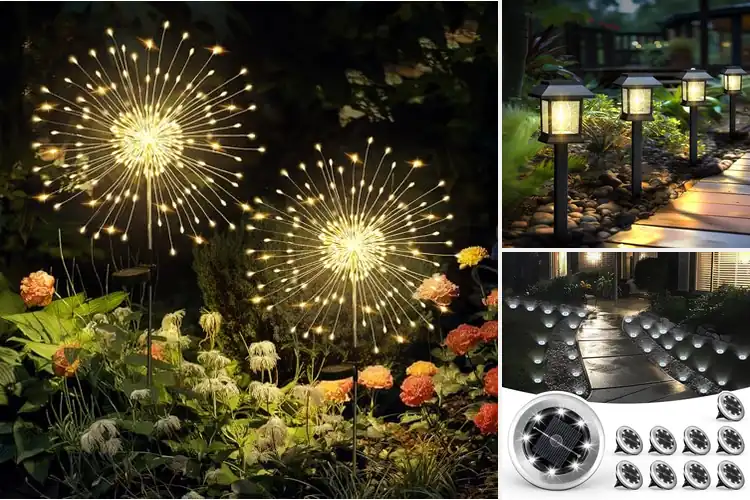 Detailed view of Best Solar Powered Garden Lights