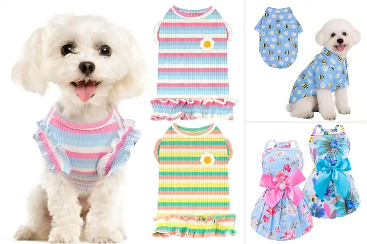 Detailed view of Best Spring And Summer Dogwear
