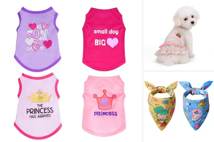 Detailed view of Best Spring Summer Pet Wear