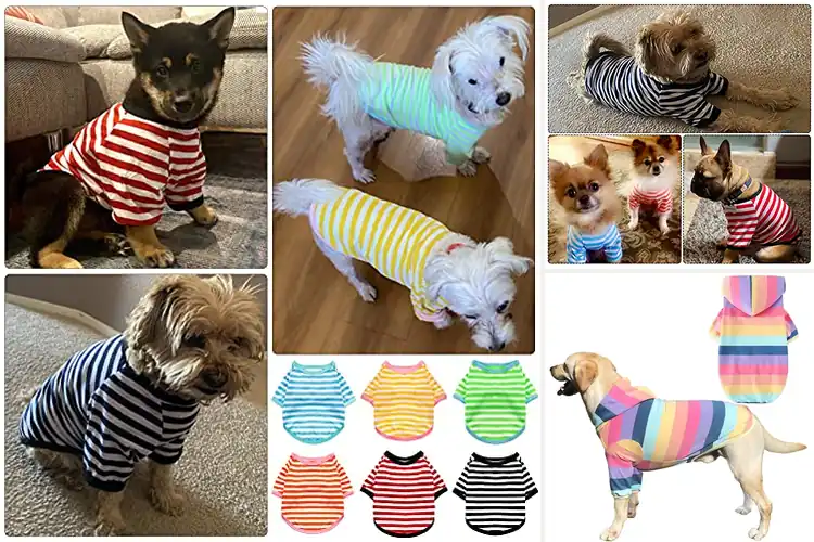 Detailed view of Best Striped Colorful Dog Sweatshirts