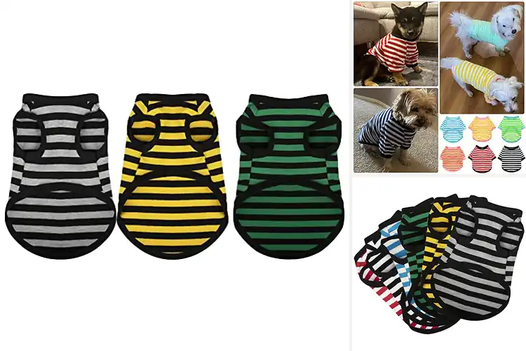 Detailed view of Best Striped Colorful Puppy Sweatshirt