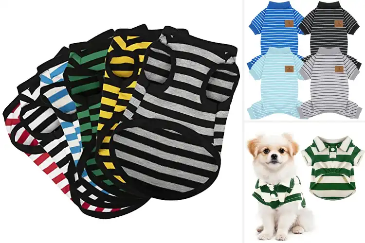 Detailed view of Best Striped Dog Clothes