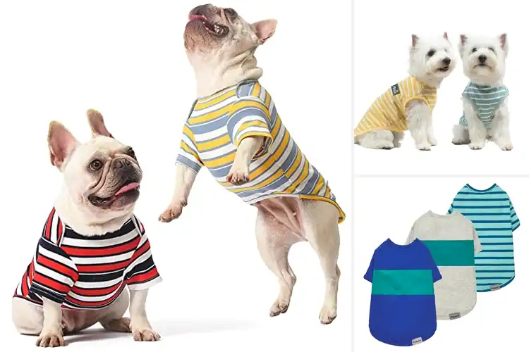 Detailed view of Best Striped Dog Shirts For Summer Comfort